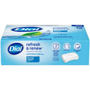 5 of 9:Dial 12 Pack Spring Water All Day Freshness Antibacterial Bar Soap, 4 Ounces 