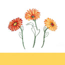 3 of 3:Gerbera Daisy Embellished Cottage Kitchen Curtain Set, 58x36 Inches 