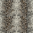 4 of 5:Panel de cortina de ventana con ojales Python - 52x63 - Negro/Plata 