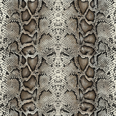 4 of 5:Panel de cortina de ventana con ojales Python - 52x63 - Negro/Plata 