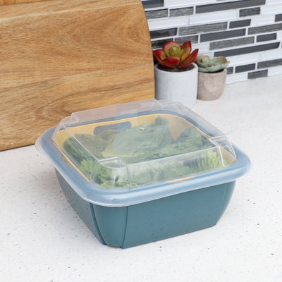4 of 4:Home Basics Plastic Container with Strainer Basket and Clear Lid, Multi-Color 