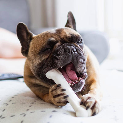 2 of 5:Jouet à mâcher durable Nylabone Power Chew, saveur poulet, pour chiens de taille moyenne 