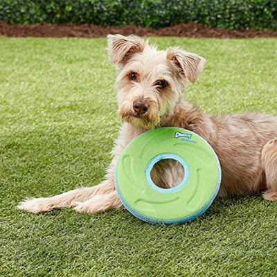 2 of 5:Chuckit Zipflight Flying Disc Dog Toy, Medium 8.5 Inches, Green-Blue or Orange-Blue 
