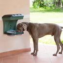 2 of 4:Bama Pet Mountable Food Stand with Storage Compartment, Green, Larger Dog Size 