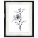 1 of 1:Cadre mural flottant imprimé PREMIUS Flower Power, noir et blanc, 43 x 53 cm 