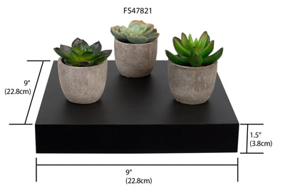 5 of 5:Home Basics Decorative Square Wood Floating Shelf, Black, 9x9x1.5 Inches 