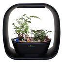 1 of 8:Spigo Intelligent Indoor LED Light Garden, Matte Black 