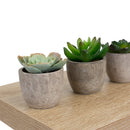 3 of 6:Étagère flottante carrée décorative en bois Home Basics, design chêne, 23 x 23 x 3,8 cm 